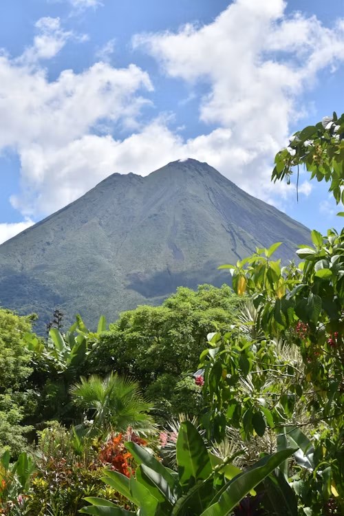 Arenal Volcano under clouds, above a garden of palms and flowering shrubs