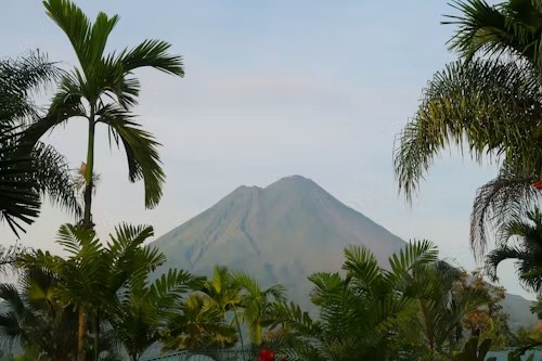 Arenal Volcano framed by palm trees