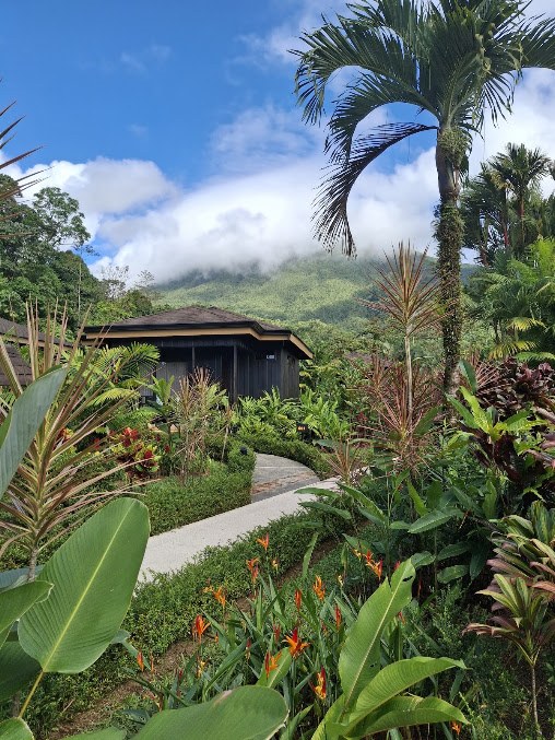 A dark wooden cabin at the end of a garden path lined with tropical plants, with palms and clouded hills behind