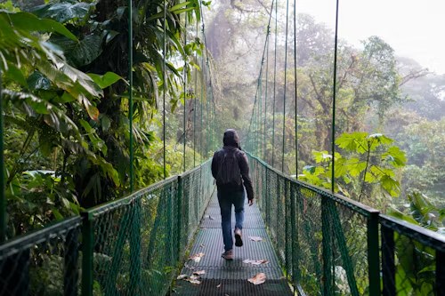 A person in a rain jacket walking across a hanging bridge through misty rainforest